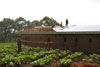 Last construction stage  the Primary Section is being finished