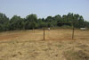 The future „sports field“