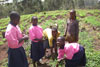 In the school garden